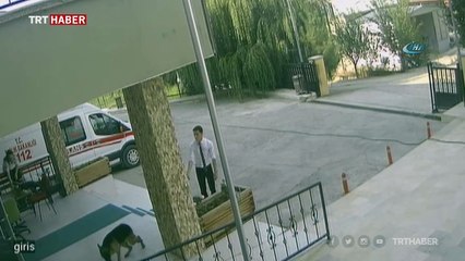 Yaralı köpek 112'ye sığındı