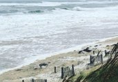 Surf Pounds Nags Head Beach Ahead of Florence's Arrival