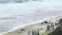 Surf Pounds Nags Head Beach Ahead of Florence's Arrival