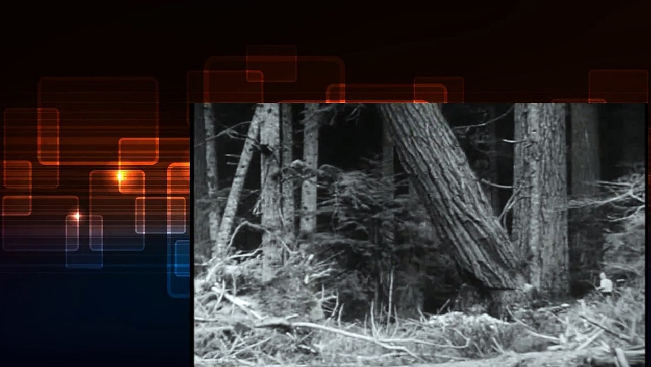 Adventures of Superman - 1x23 - Ghost Wolf