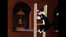 Looney Tunes - Saving Tweety Bird - Classic Cartoon