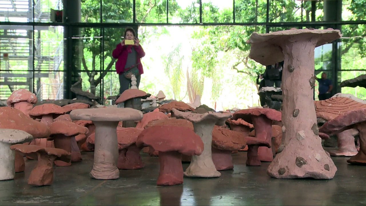 Bienal da diversidade