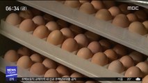 달걀에서 또 살충제 성분 검출…67만여 개 유통
