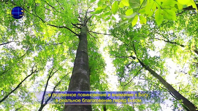 Восточная Молния | Евангелие дня «Познание Бога – путь к богобоязненности и удалению от зла»