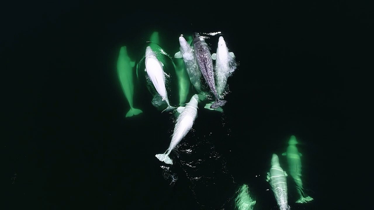 Família que cresce…