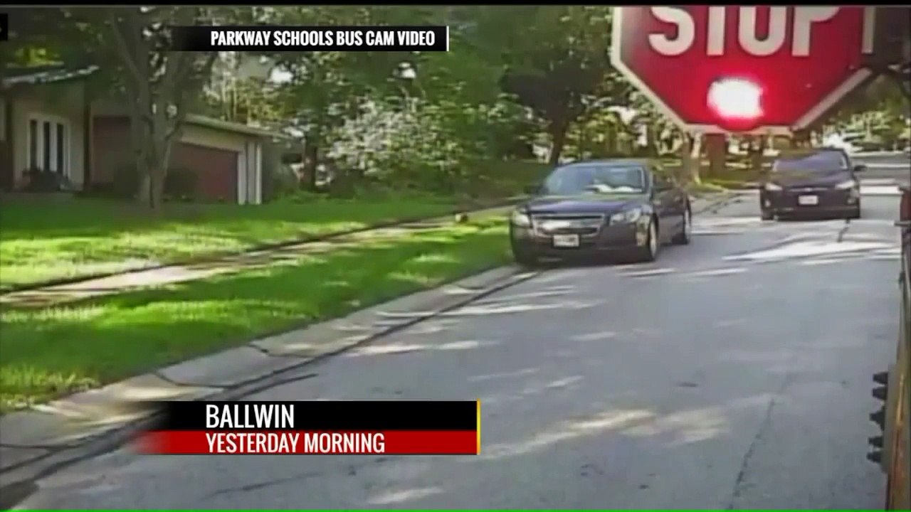 Man Charged After Video Shows Car Driving Through Yard Past Waiting School Bus