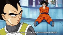 Goku and Vegeta Growing Beards | Dragonball Super Episode 32