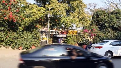 When your friend gives you Direction | Danish Ali | Pakistani Funny Video