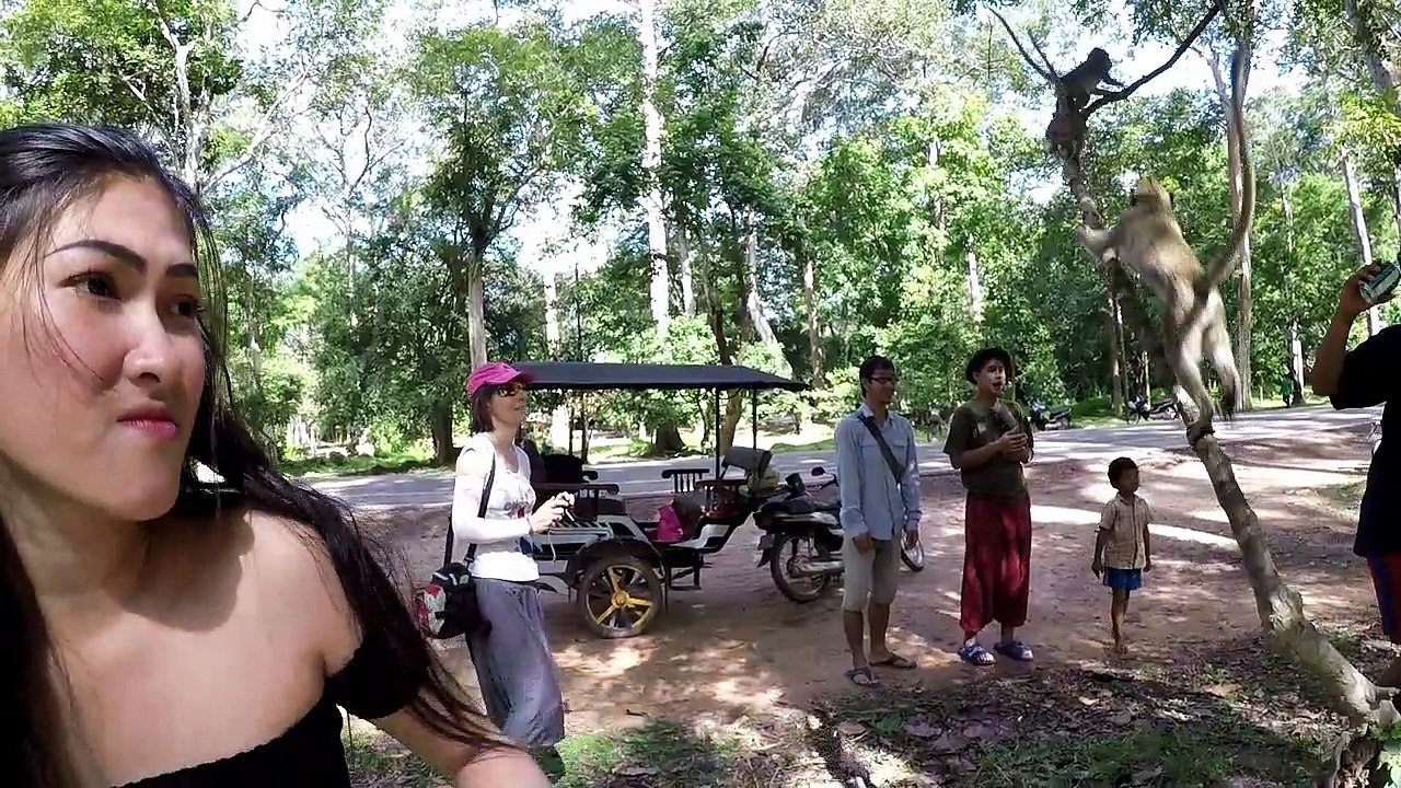 Funny Monkey VIDEOS - Drôle de singe
