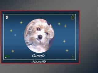 Meilleur voeux 2007-2008