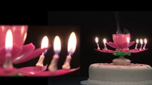 Birthday musical candle