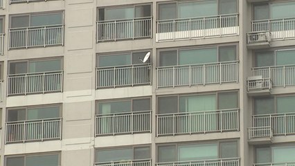 부동산 대출규제 강화..."이 경우 대출 가능할까요?" / YTN