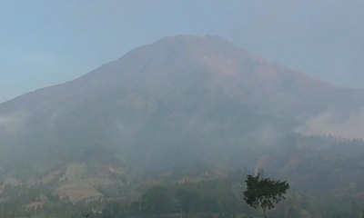 Ratusan Hektar Kawasan Sindoro-Sumbing Terus Meluas