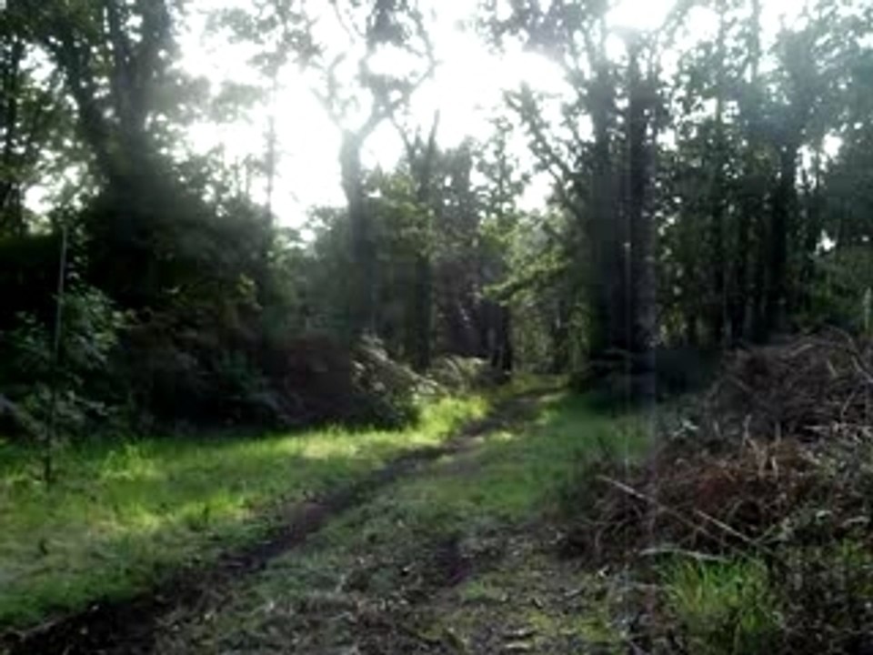 dirt bike 250cc skud