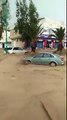 pluie diluvienne en Algerie