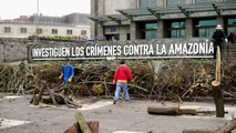 Ambientalistas denuncian deforestación en Amazonía de Colombia