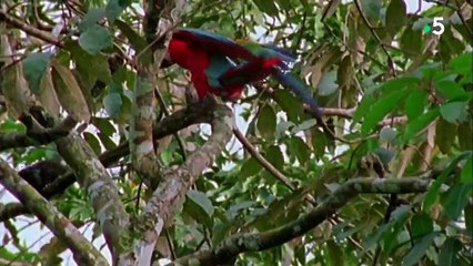 24 heures dans la nature - Brésil, l'ombre et la lumière