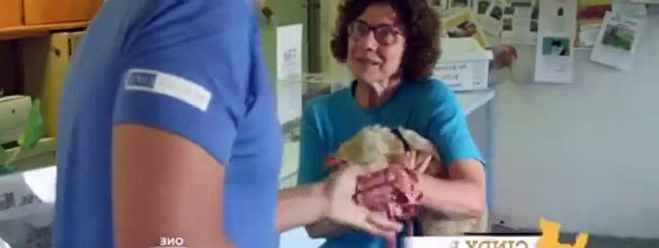 Save Our Shelter S02E02 San Gabriel Valley Humane Society