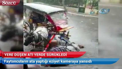 Büyükada’da yere düşen ata yapılan eziyet kamerada