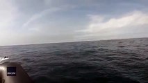Whale violently slaps inflatable boat with its tail