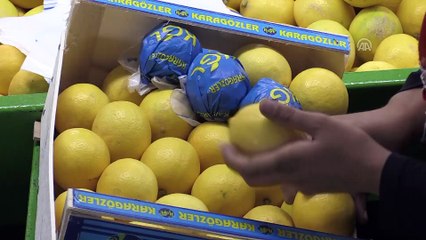 Narenciyede erken hasat, ihracatı artırdı - MERSİN