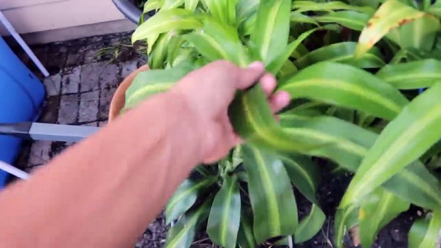 Something went Horribly WRONG....