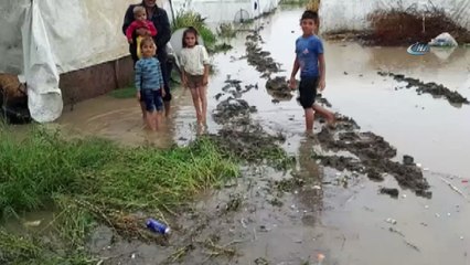 Mevsimlik işçilerin çadırlarını sel bastı, çocuklar son anda kurtarıldı
