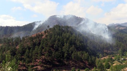 Kahramanmaraş'ta orman yangını