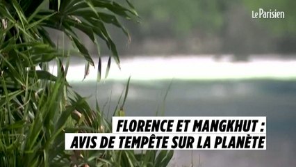 Florence et Mangkhut : avis de tempête sur la planète