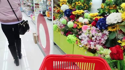 DAISO 1000 Won Haul   Vlogmas #21   KimDao in KOREA