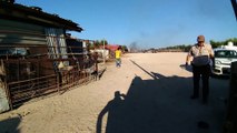 Bruciano legno e plastica nelle campagne di Andria, interviene il prof. Martiradonna