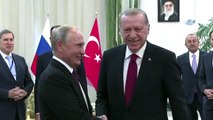 Cumhurbaşkanı Erdoğan Pazartesi Putin ile Görüşecek