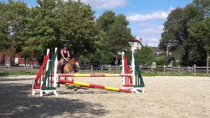 Lia & Alfi - FMA Springen mit Alfi und Turnier Gut Waldhof