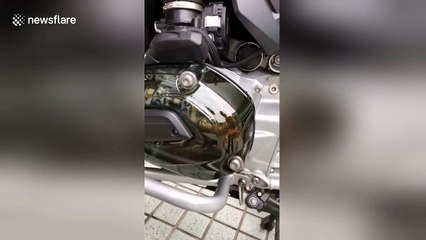 This is what's happening in your motorbike's engine while you're riding