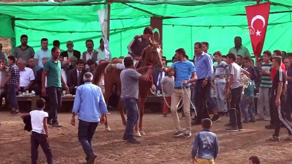 Hasköy'de mahalli at yarışları - MUŞ