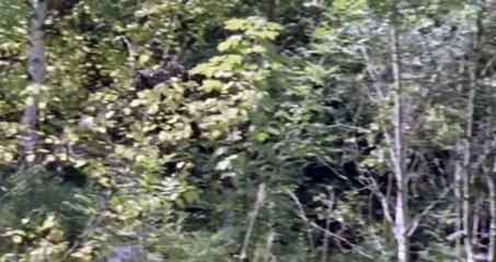 Ultimate Force S04 - Ep01 CHa'nging of the Guard -. Part 02 HD Watch