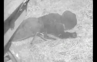 Wagon Train S01 - Ep09 The Charles Avery Story HD Watch