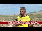 FERMERËT: BIE INTERESI PËR BIMËT MEDICINALE