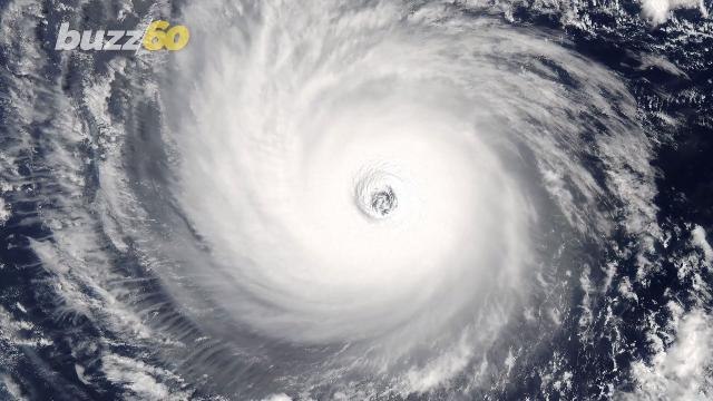 How the 'Waffle House Index' Helps Determine How Bad Hurricanes Are Getting