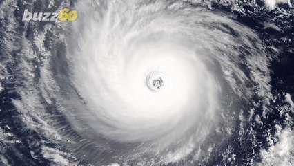 How the 'Waffle House Index' Helps Determine How Bad Hurricanes Are Getting