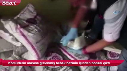 Bebek bezinden bonzai çıktı