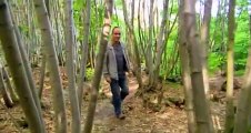 Grand Designs S09 - Ep13 The Woodsmans Cottage 2nd Revisited HD Watch