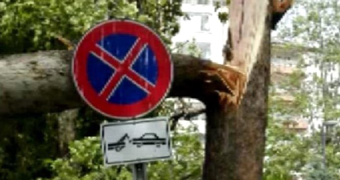 Cuma Namazı Sırasında Dışarıda Namaz Kılan Cemaatin Üzerine Ağaç Düştü