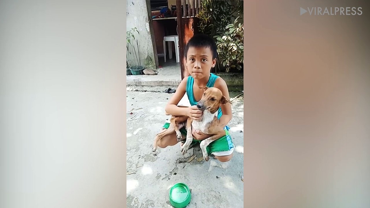 Boy Finds His Missing Dog