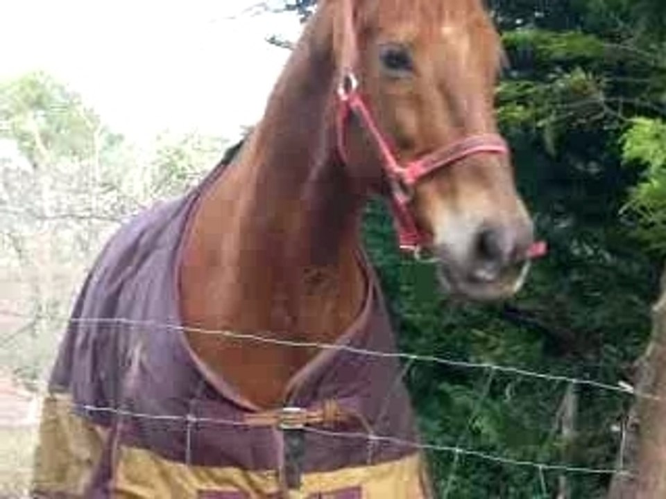 dan-boy et tiffanie font les fous