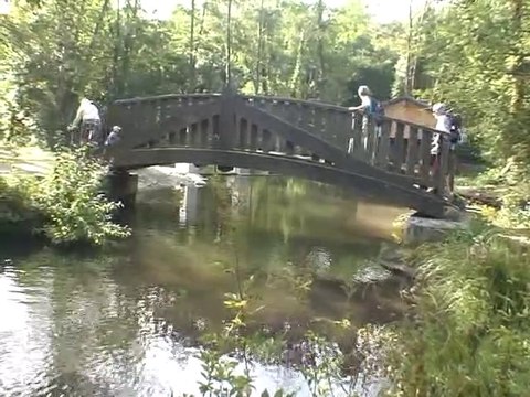 Sur les bords de la Fure - Rives 38140