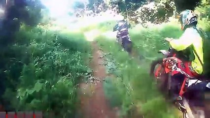 Extraña criatura captada en vídeo desde motocicleta