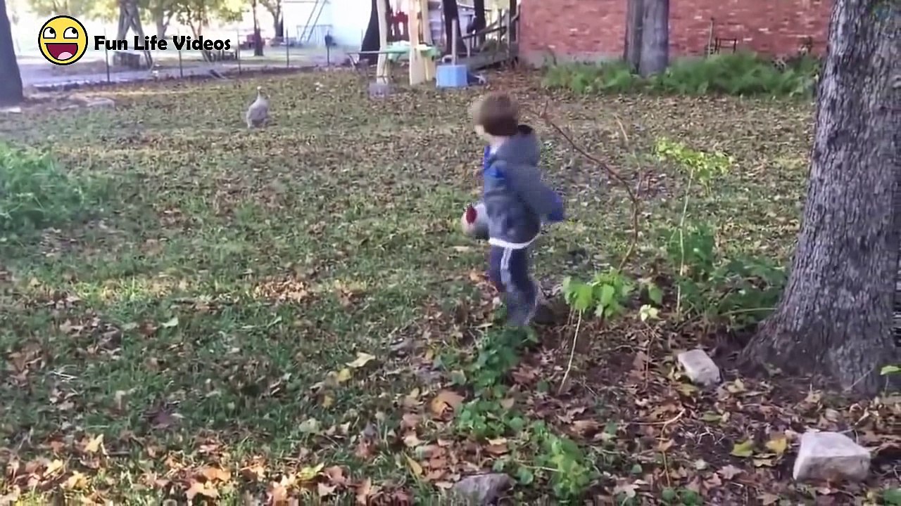 Try Not To Laugh Watching Funny Animal Fails Compilation September 2018 #1 - Co Vines✔