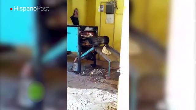 Vea las insalubres condiciones en la que opera una panadería en Pakistán