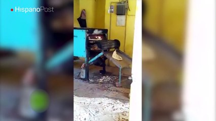 Vea las insalubres condiciones en la que opera una panadería en Pakistán